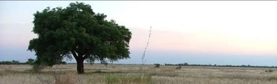 7 Bedroom Property for Sale in Modimolle Limpopo