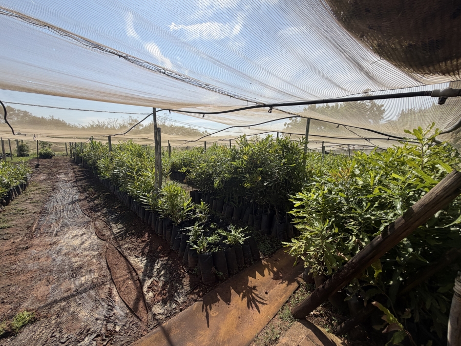 Commercial Property for Sale in Louis Trichardt Limpopo