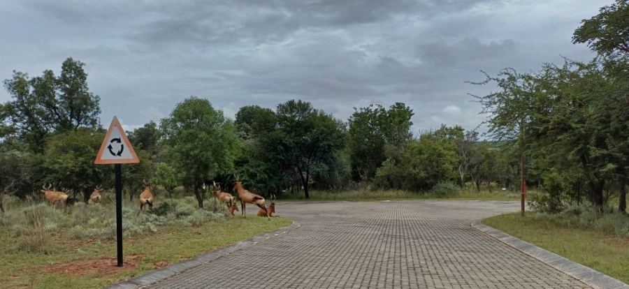 0 Bedroom Property for Sale in Koro Creek Golf Estate Limpopo