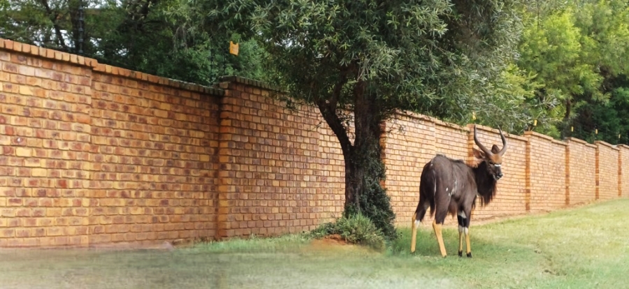 0 Bedroom Property for Sale in Koro Creek Golf Estate Limpopo