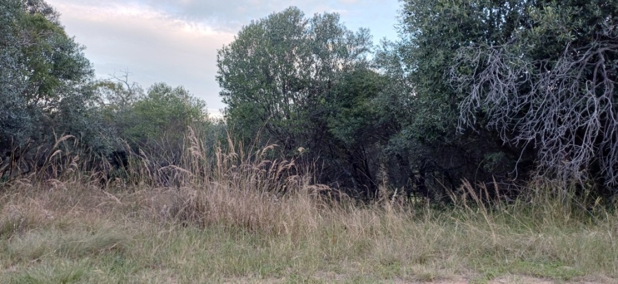 0 Bedroom Property for Sale in Koro Creek Golf Estate Limpopo