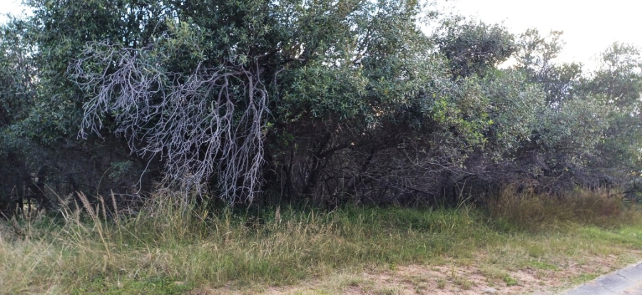 0 Bedroom Property for Sale in Koro Creek Golf Estate Limpopo