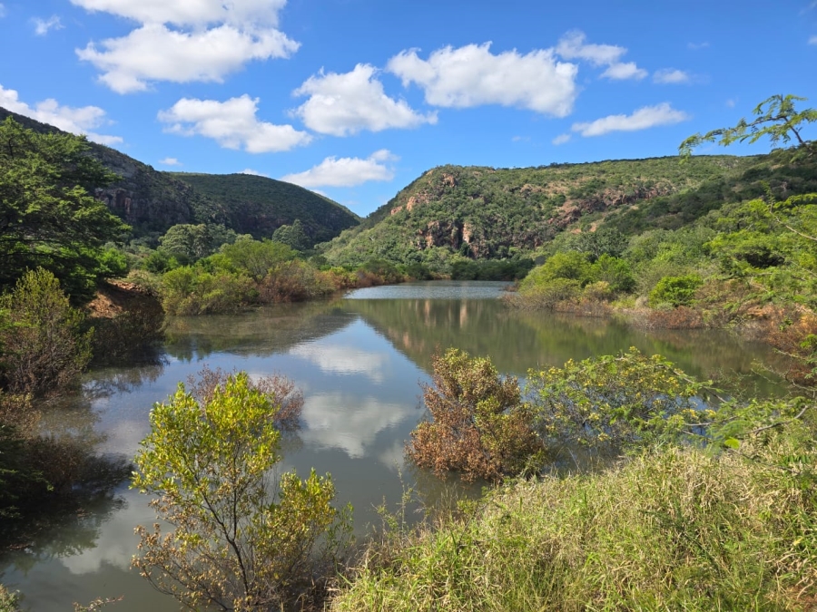 4 Bedroom Property for Sale in Louis Trichardt Limpopo