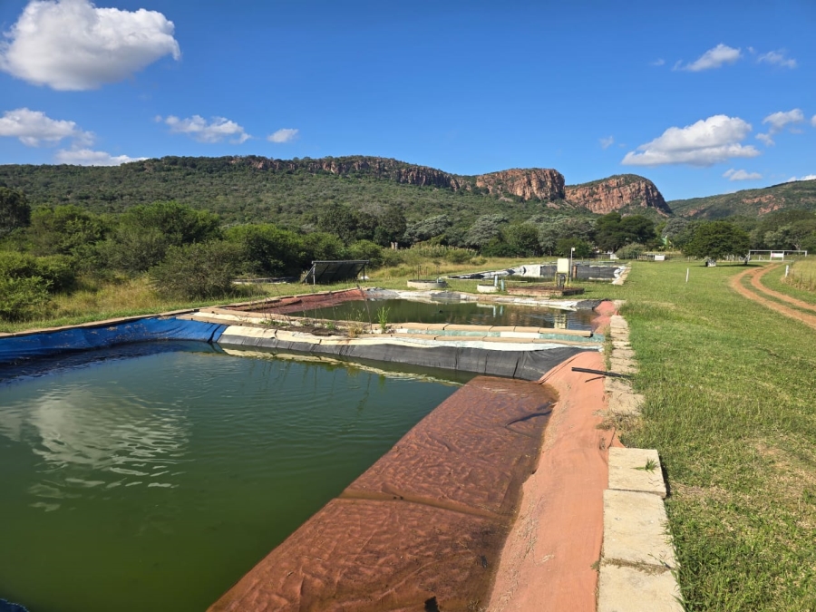 4 Bedroom Property for Sale in Louis Trichardt Limpopo