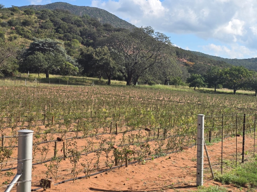 4 Bedroom Property for Sale in Louis Trichardt Limpopo