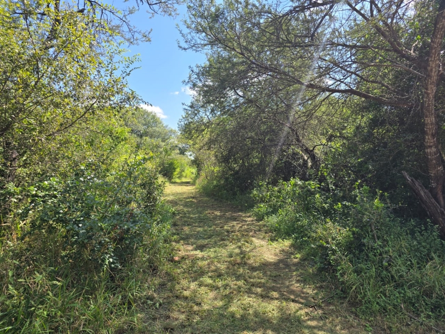 4 Bedroom Property for Sale in Louis Trichardt Limpopo