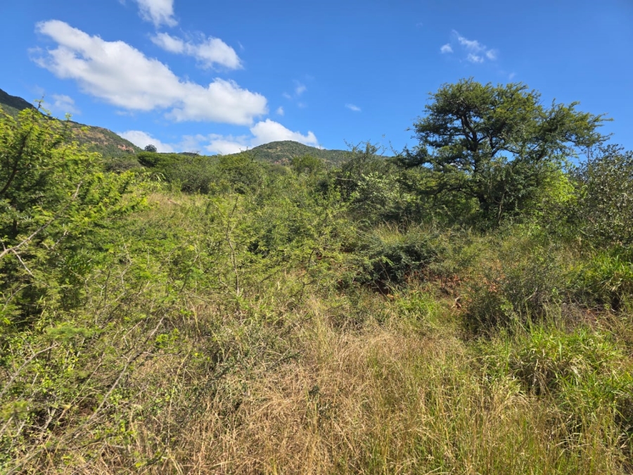 4 Bedroom Property for Sale in Louis Trichardt Limpopo