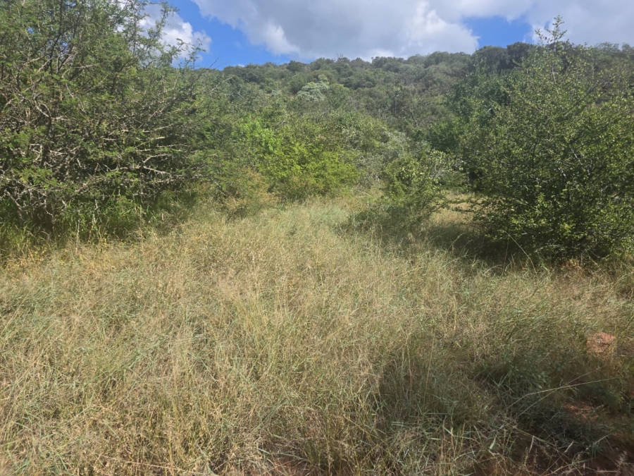 4 Bedroom Property for Sale in Louis Trichardt Limpopo