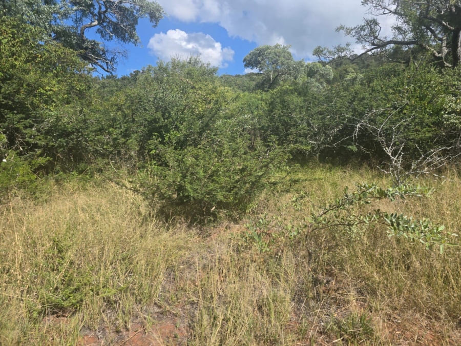 4 Bedroom Property for Sale in Louis Trichardt Limpopo