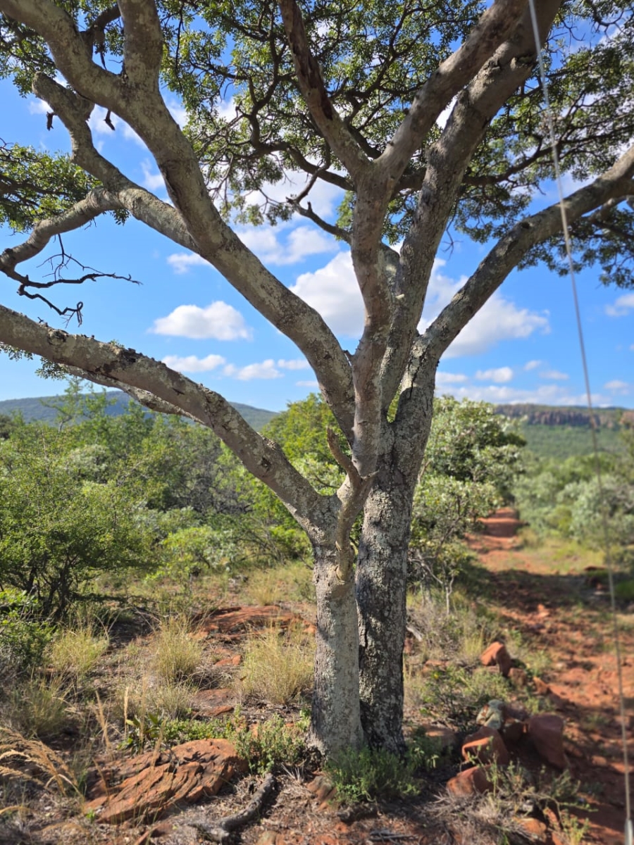 4 Bedroom Property for Sale in Louis Trichardt Limpopo