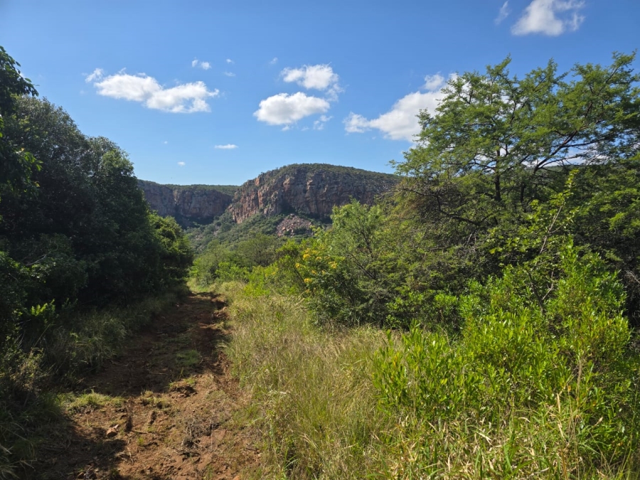 4 Bedroom Property for Sale in Louis Trichardt Limpopo