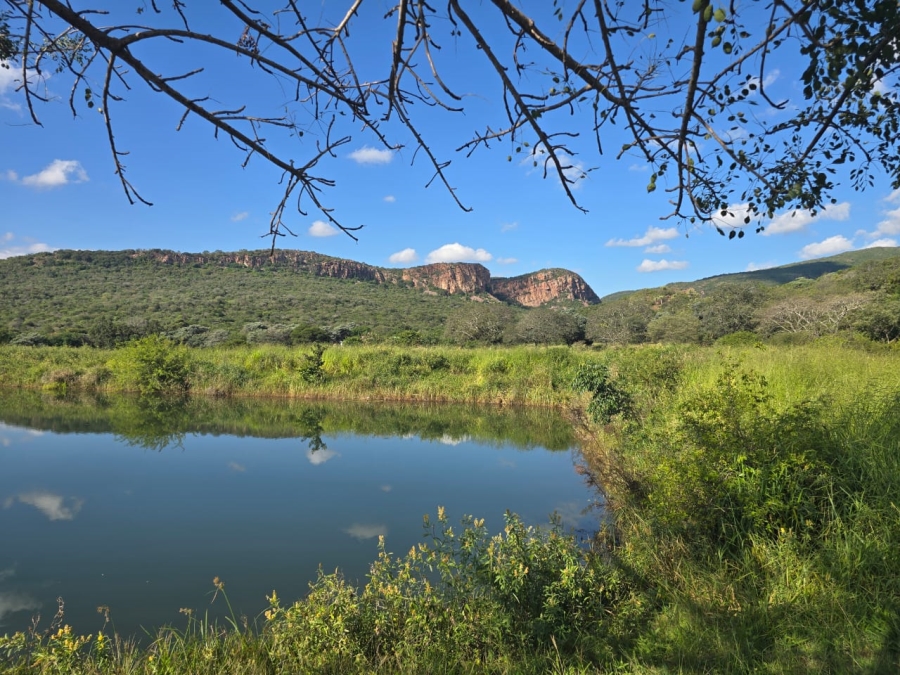 4 Bedroom Property for Sale in Louis Trichardt Limpopo