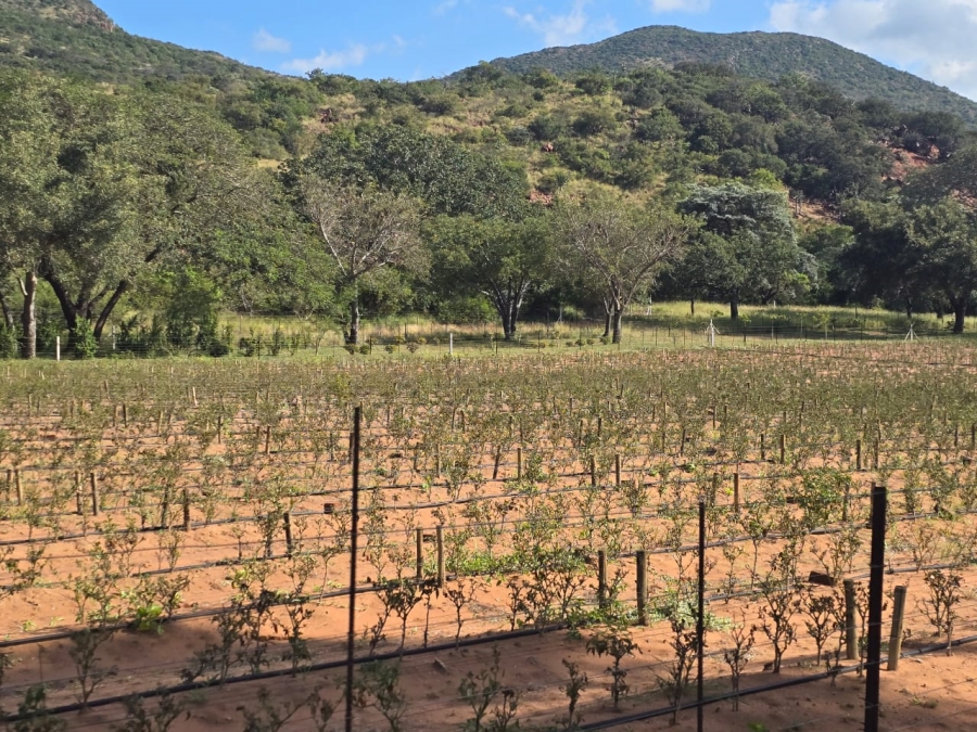 4 Bedroom Property for Sale in Louis Trichardt Limpopo