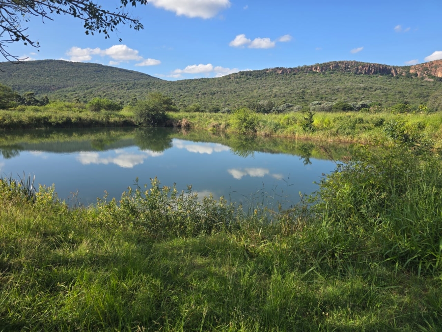 4 Bedroom Property for Sale in Louis Trichardt Limpopo