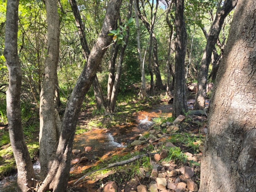 4 Bedroom Property for Sale in Louis Trichardt Limpopo