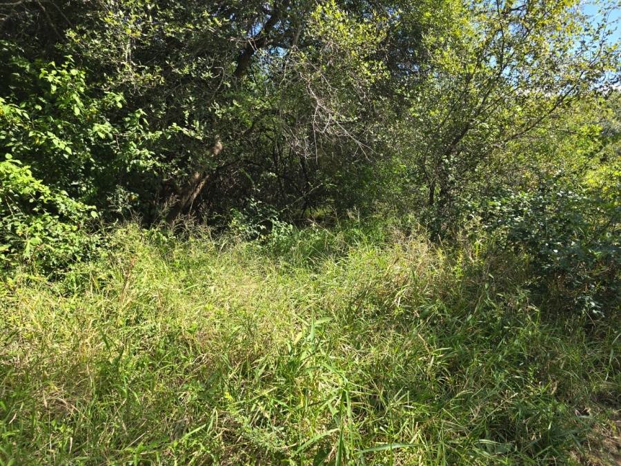 4 Bedroom Property for Sale in Louis Trichardt Limpopo