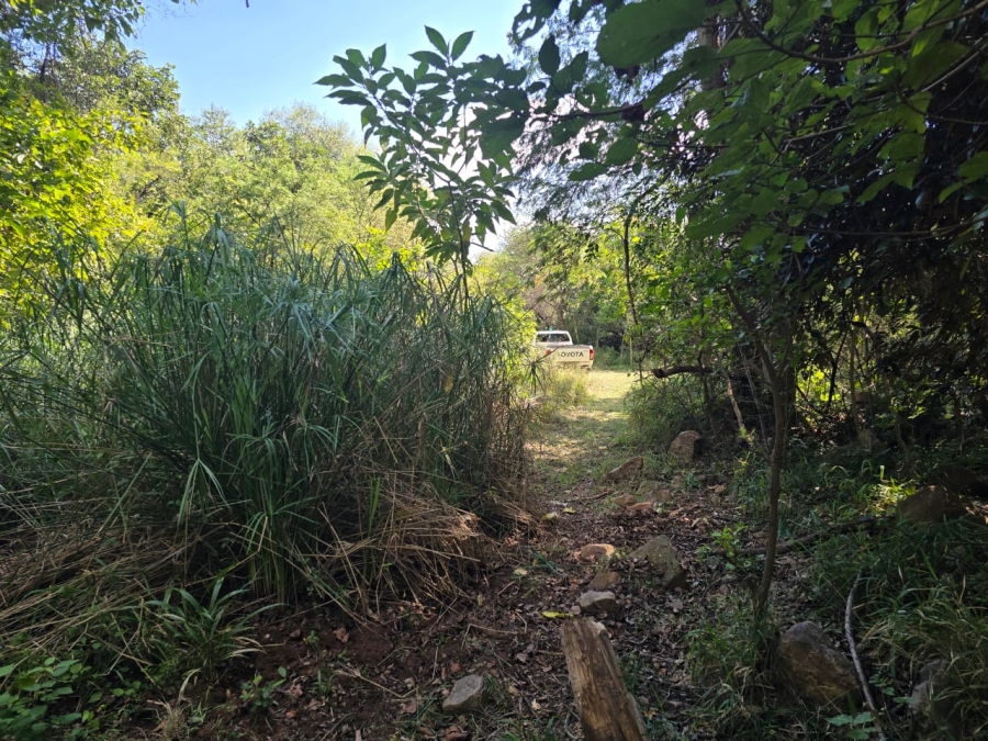 4 Bedroom Property for Sale in Louis Trichardt Limpopo
