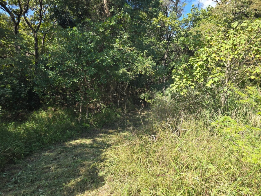 4 Bedroom Property for Sale in Louis Trichardt Limpopo