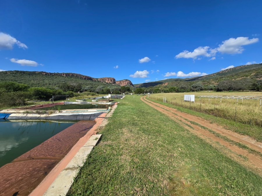 4 Bedroom Property for Sale in Louis Trichardt Limpopo