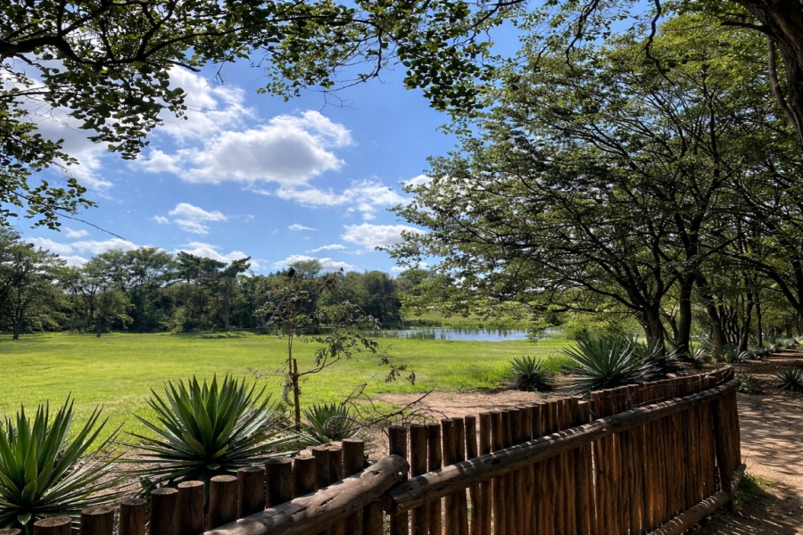 4 Bedroom Property for Sale in Phalaborwa Limpopo