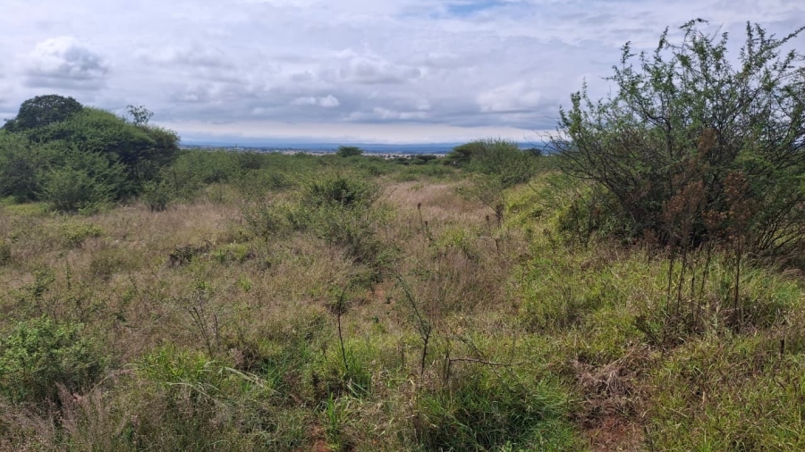 0 Bedroom Property for Sale in Kalkfontein A H Limpopo