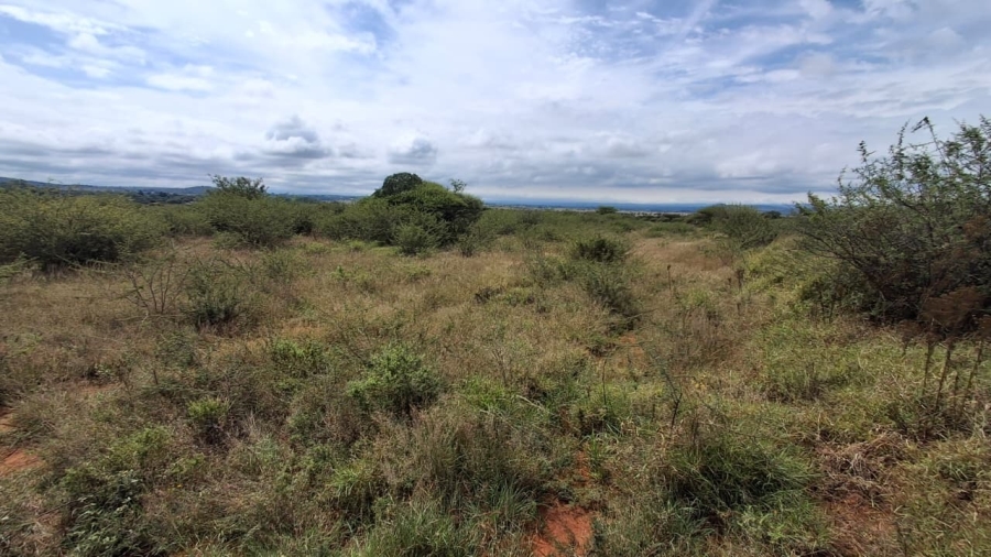 0 Bedroom Property for Sale in Kalkfontein A H Limpopo