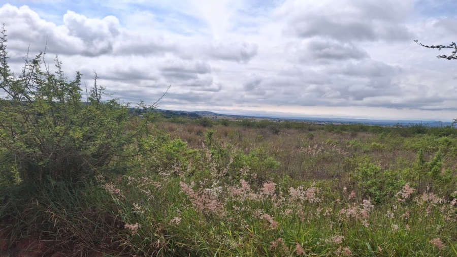 0 Bedroom Property for Sale in Kalkfontein A H Limpopo