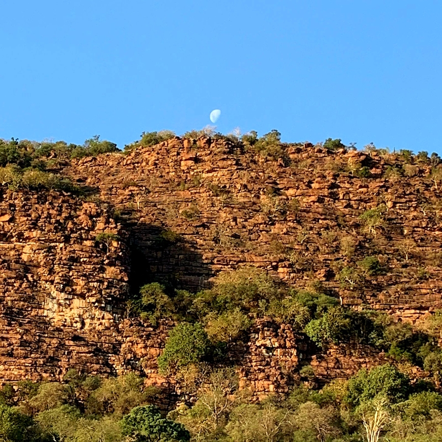 10 Bedroom Property for Sale in Lephalale Limpopo