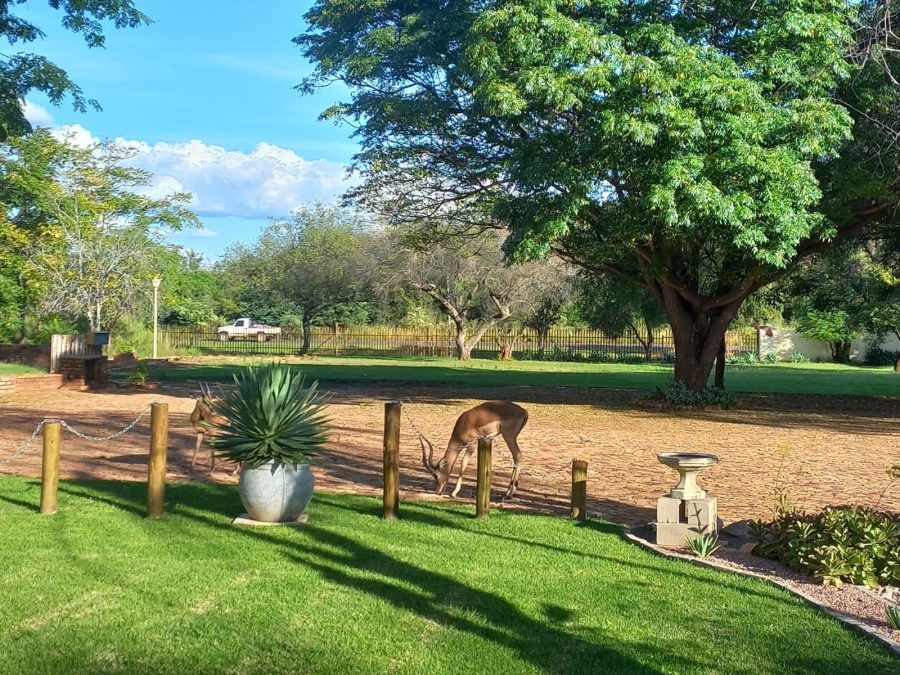 1 Bedroom Property for Sale in Mookgopong Limpopo