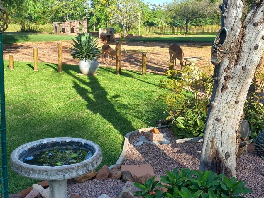 1 Bedroom Property for Sale in Mookgopong Limpopo