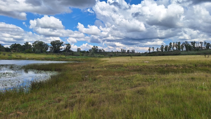 6 Bedroom Property for Sale in Modimolle Limpopo
