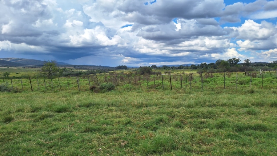 6 Bedroom Property for Sale in Modimolle Limpopo