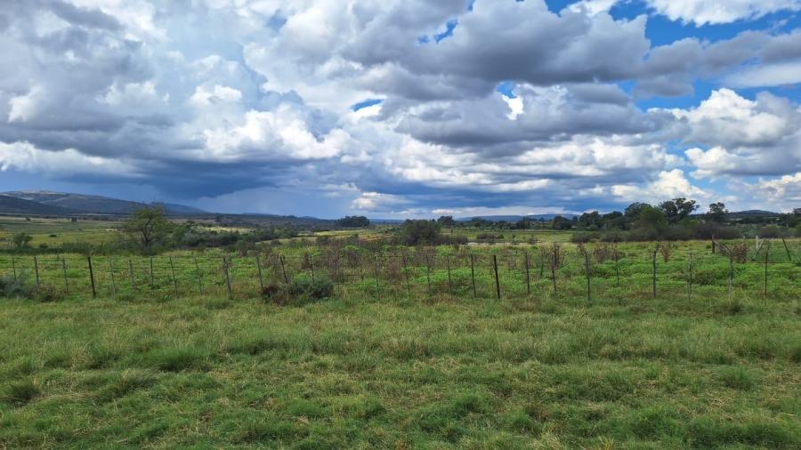 6 Bedroom Property for Sale in Modimolle Limpopo