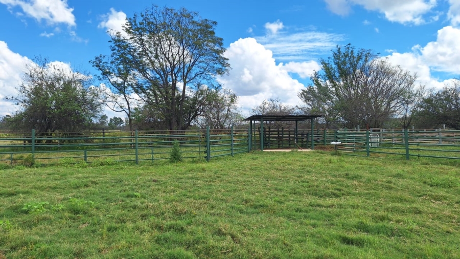 6 Bedroom Property for Sale in Modimolle Limpopo