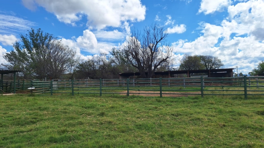 6 Bedroom Property for Sale in Modimolle Limpopo