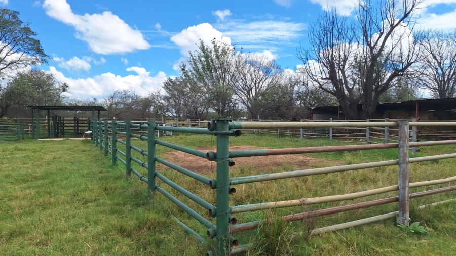 6 Bedroom Property for Sale in Modimolle Limpopo