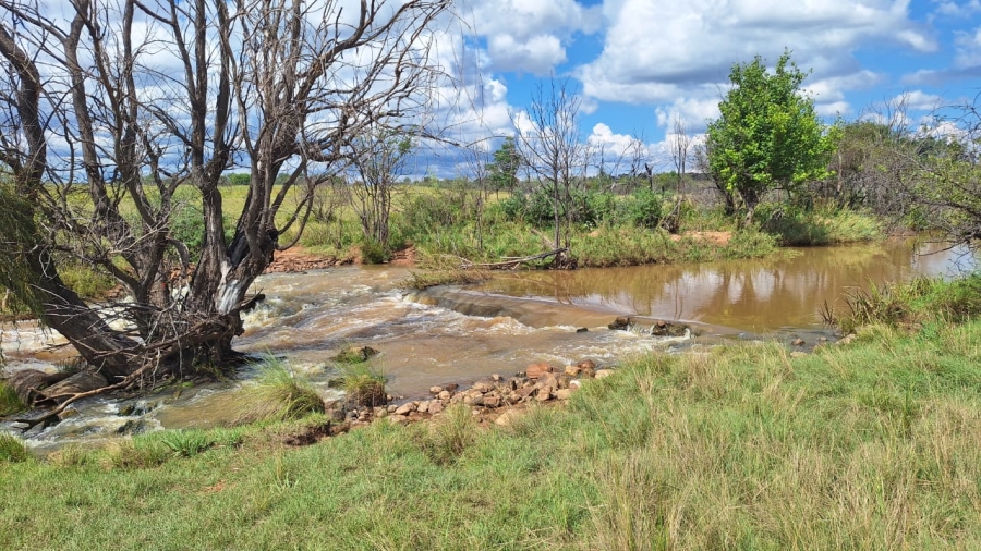 6 Bedroom Property for Sale in Modimolle Limpopo