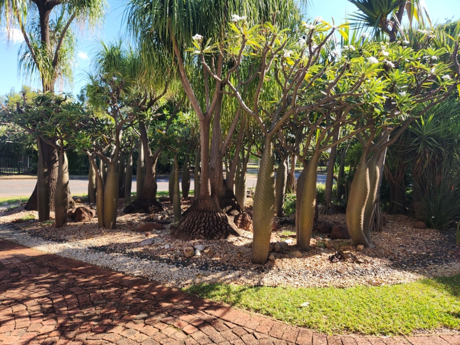 3 Bedroom Property for Sale in Bela Bela Limpopo