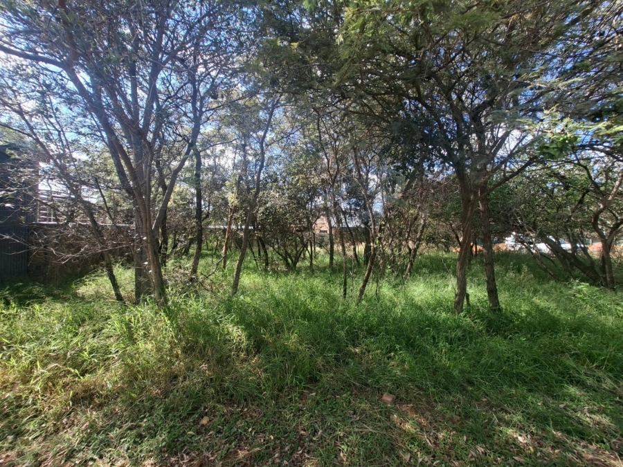 0 Bedroom Property for Sale in Negester Klein Kariba Limpopo