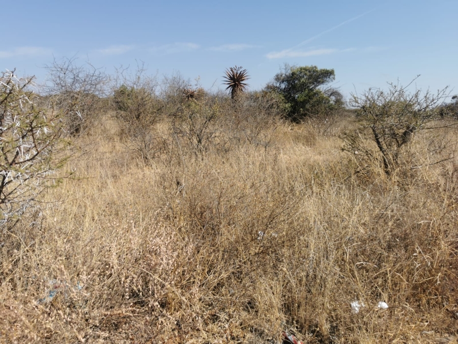 0 Bedroom Property for Sale in Bendor Limpopo