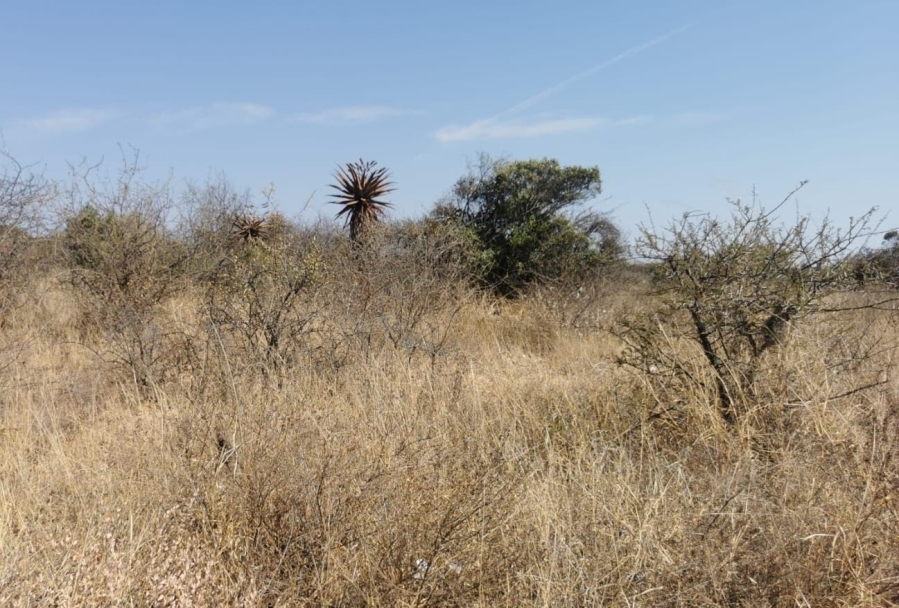 0 Bedroom Property for Sale in Bendor Limpopo
