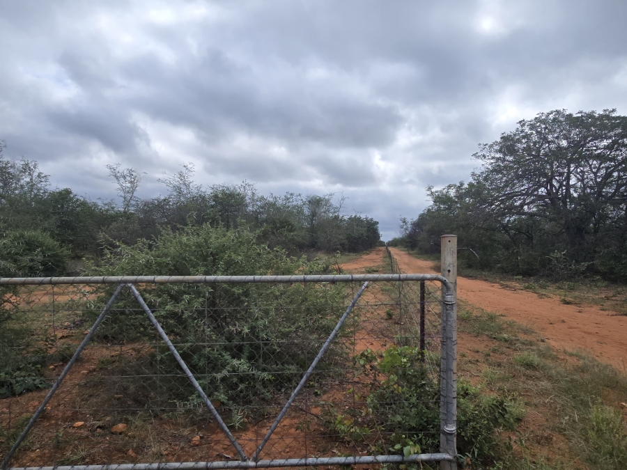 4 Bedroom Property for Sale in Alldays Limpopo