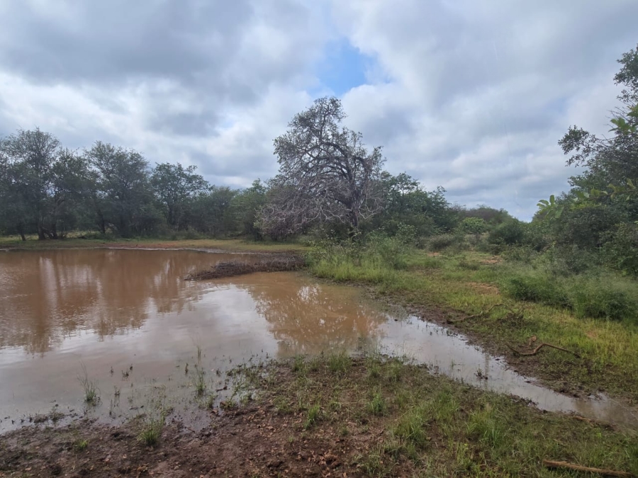 4 Bedroom Property for Sale in Alldays Limpopo