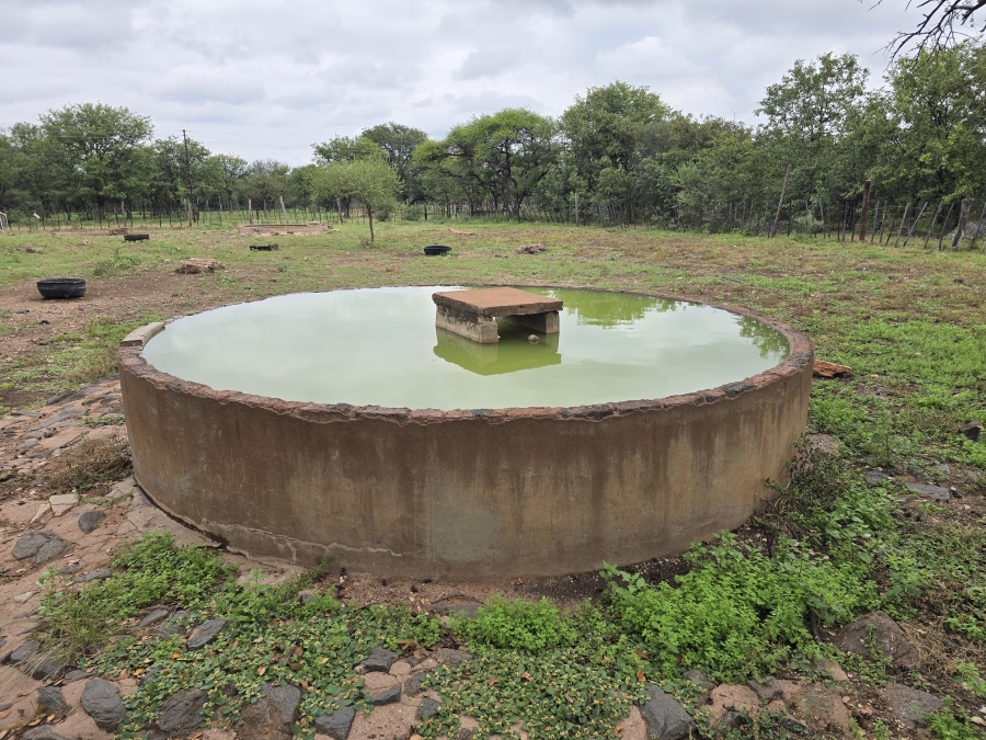 4 Bedroom Property for Sale in Alldays Limpopo
