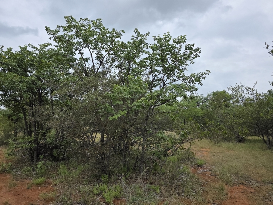 4 Bedroom Property for Sale in Alldays Limpopo