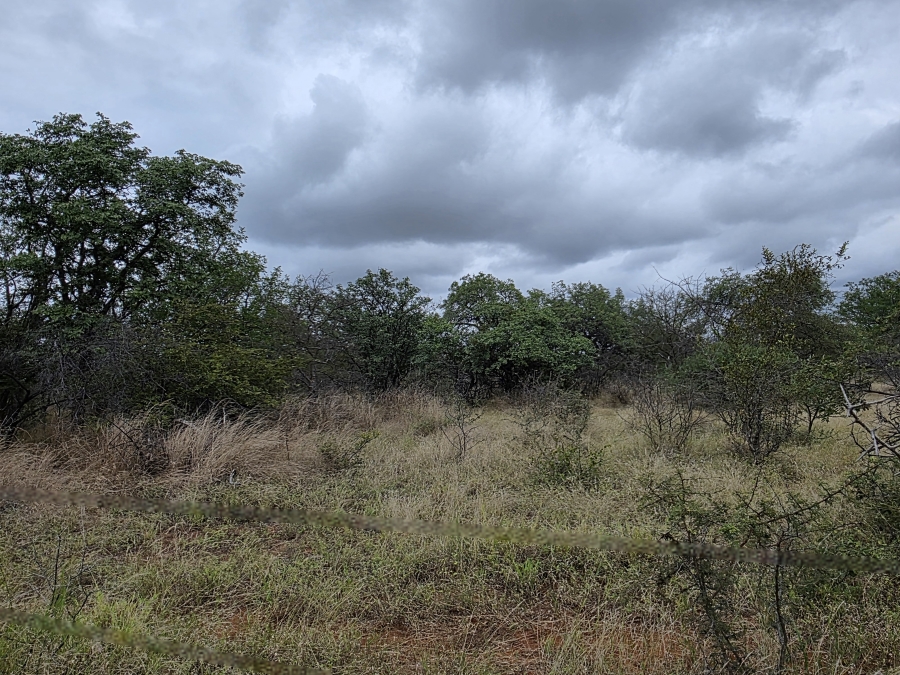 4 Bedroom Property for Sale in Alldays Limpopo