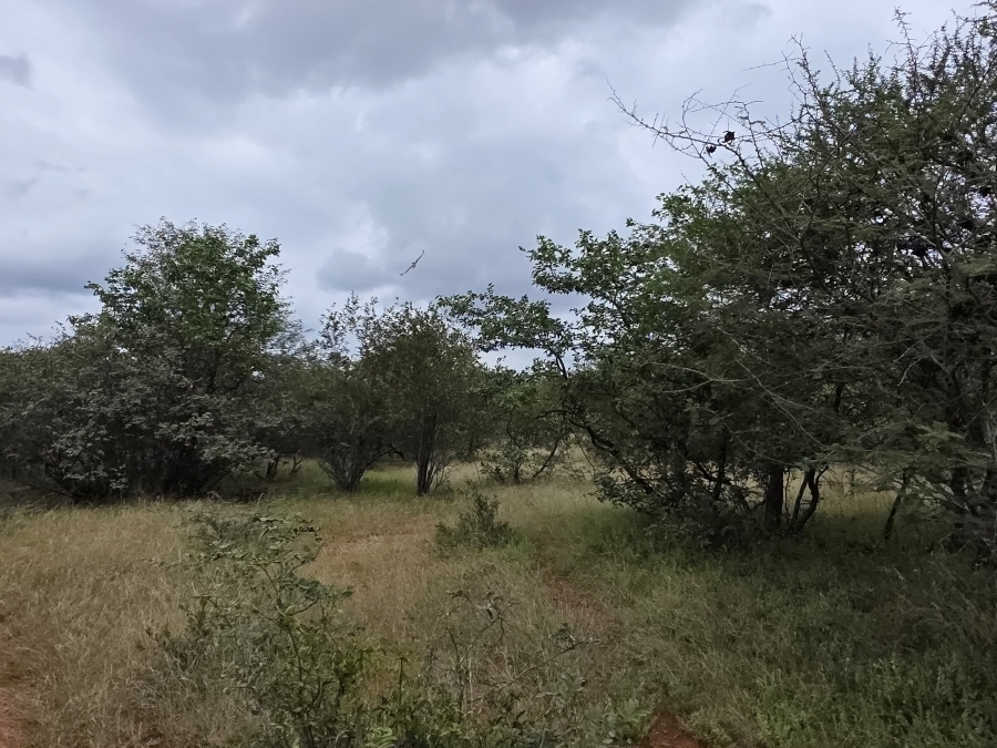 4 Bedroom Property for Sale in Alldays Limpopo