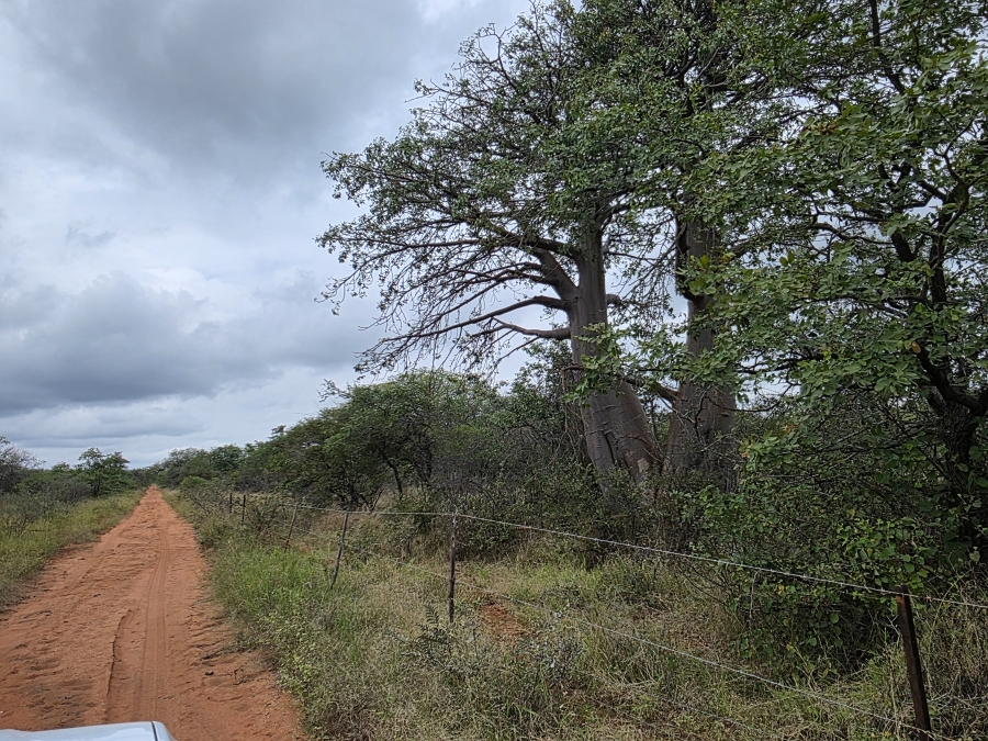 4 Bedroom Property for Sale in Alldays Limpopo
