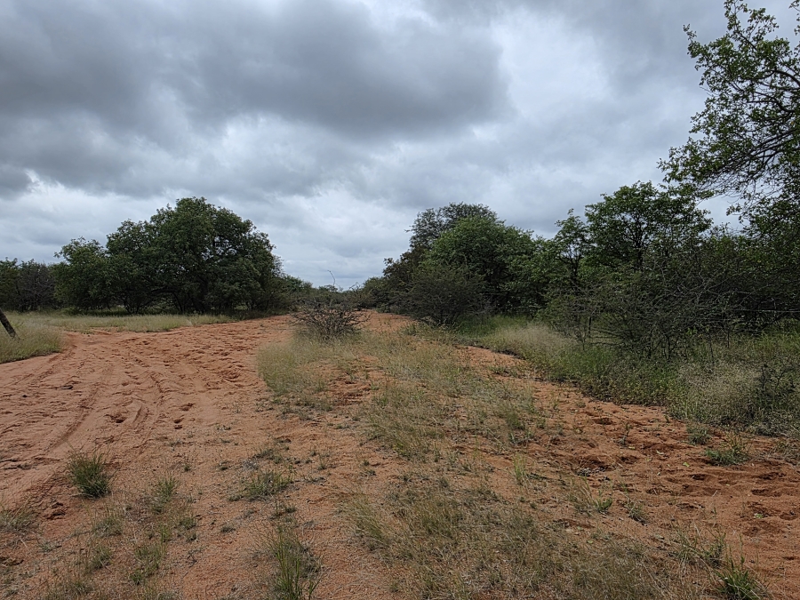4 Bedroom Property for Sale in Alldays Limpopo