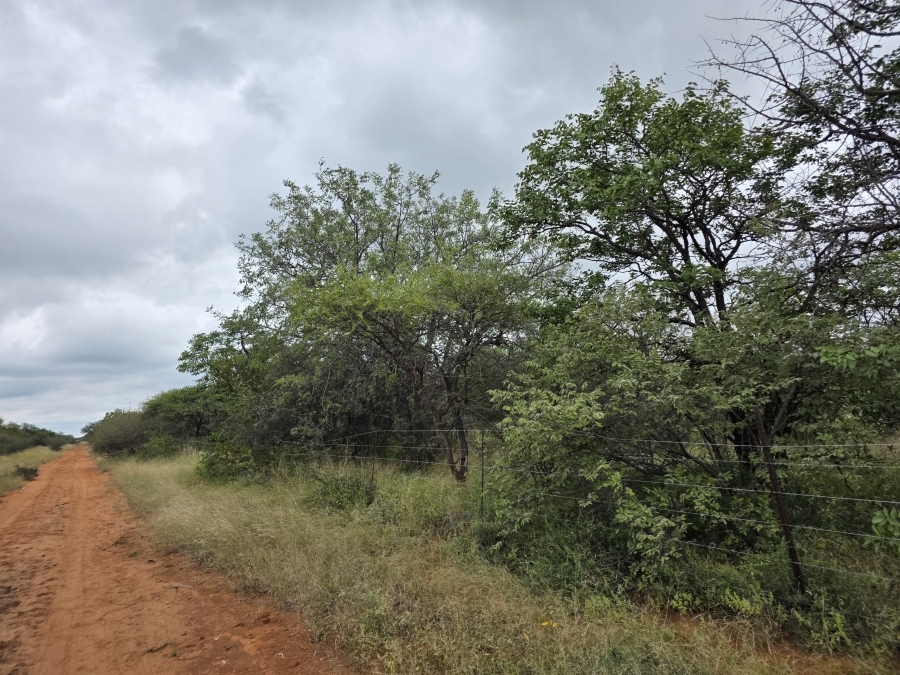 4 Bedroom Property for Sale in Alldays Limpopo